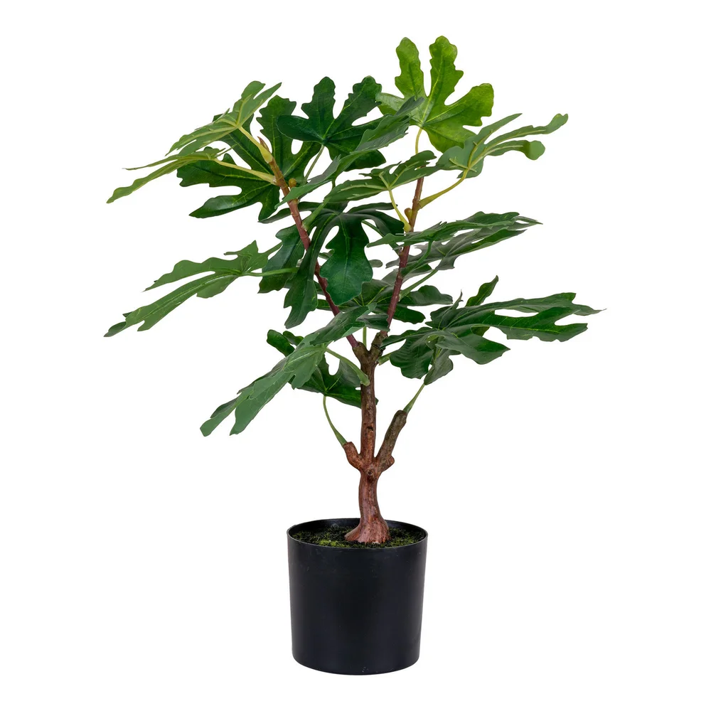 HOUSE NORDIC FIKENTRE KUNSTIG PLANTE GRØNN H60 CM v:8046273