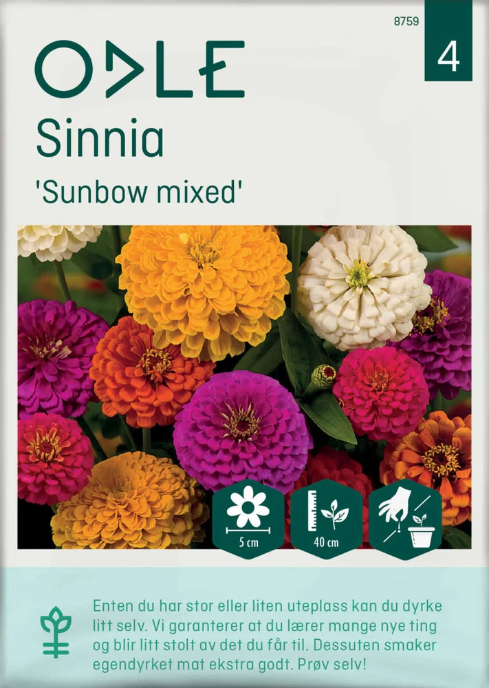 Odle 'Sunbow mixed' sinnia frø v:4035779 Odle 'Sunbow mixed' sinnia frø v:4035779
