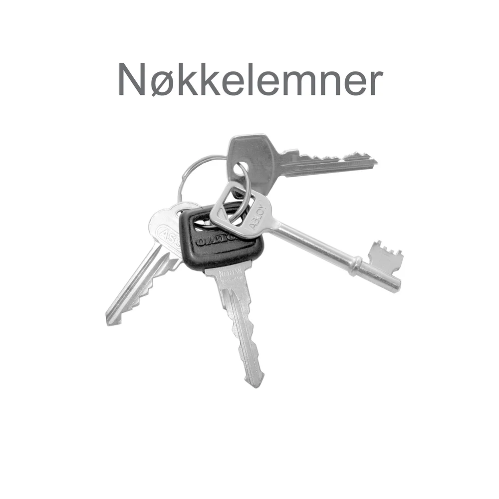 NØKKELEMNE AB2 v:8044384