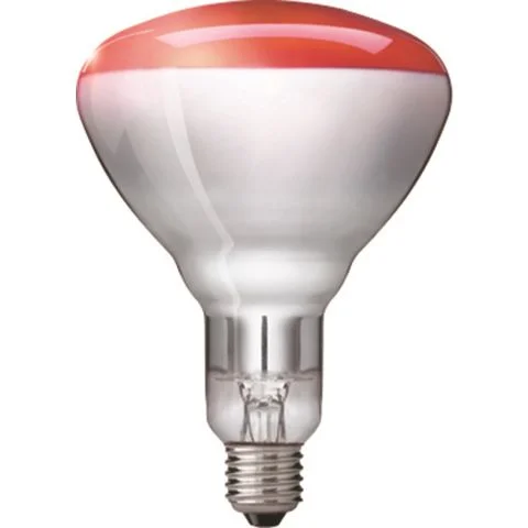 BR125 Philips IR-lampe 3052232