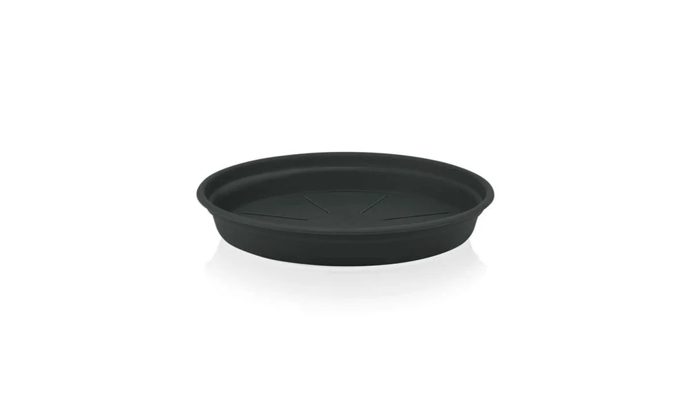 Odle Camelie fat v:8538580 Odle Camelie fat v:8538580