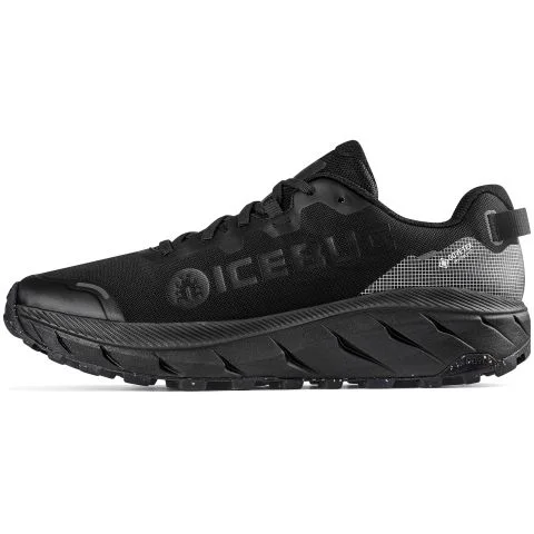 Arcus 2 RB9X GTX Icebug Yrkesko 4051234 Arcus 2 RB9X GTX Icebug Yrkesko 4051234