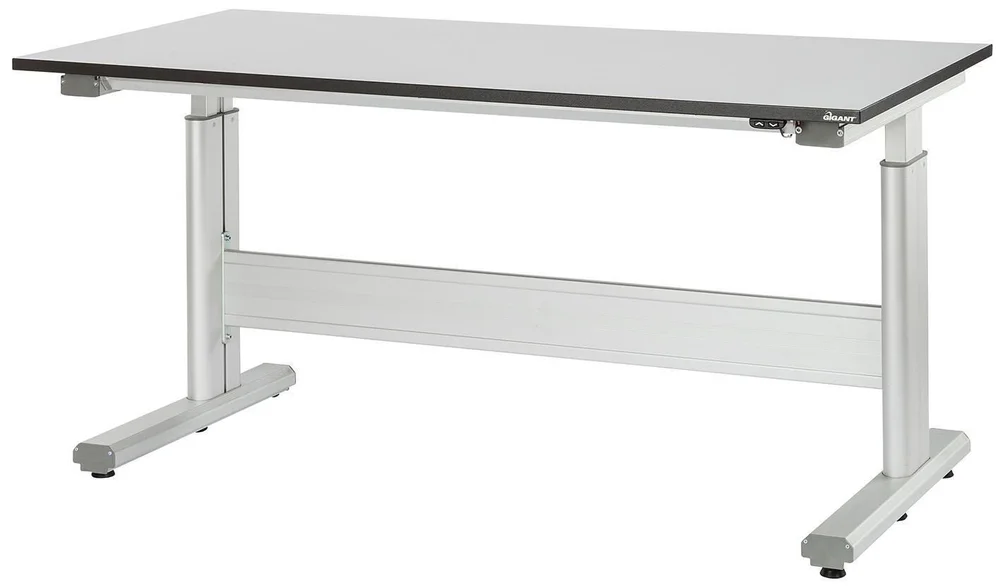 GIGANT BORD FLEX 100 1200X800 LAM. L v:9954561
