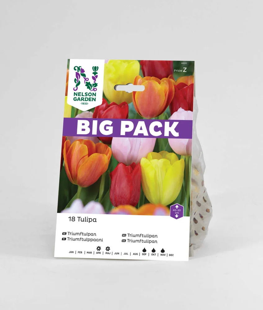 Høstløk Tulipan mix v:1860361 Høstløk Tulipan mix v:1860361