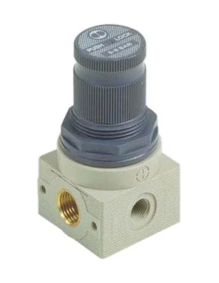 MICROREGULATOR v:6180195
